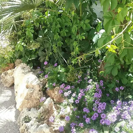 Appart hôtel San Vito Mazara del Vallo